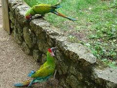 149 BIO PARC DE DOUE LA FONTAINE 4- 2016_000040